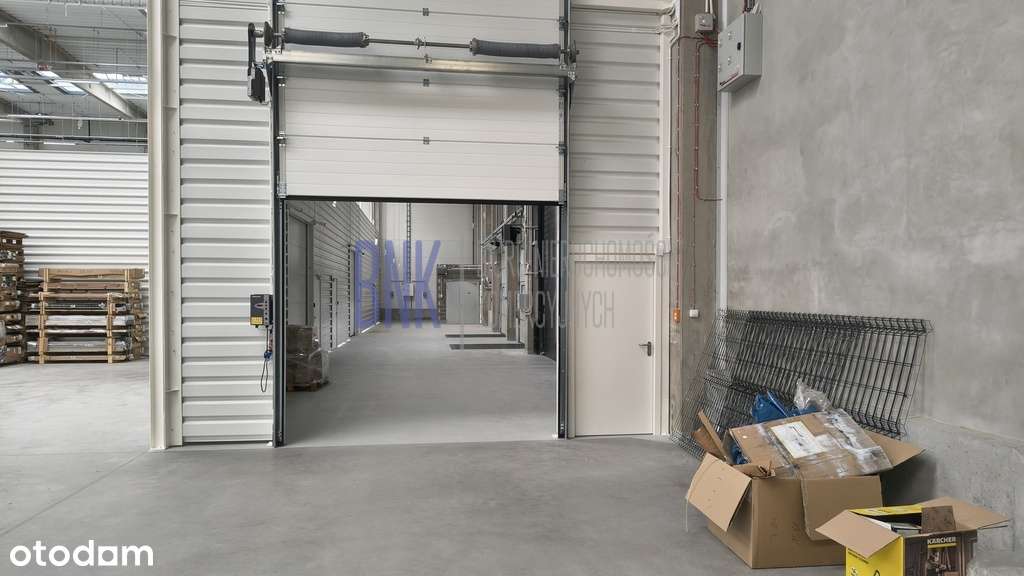 Piaseczno/Lesznowola. Magazyn bezpośrednio przy obwodnicy - Pełny obrazek: 4/15