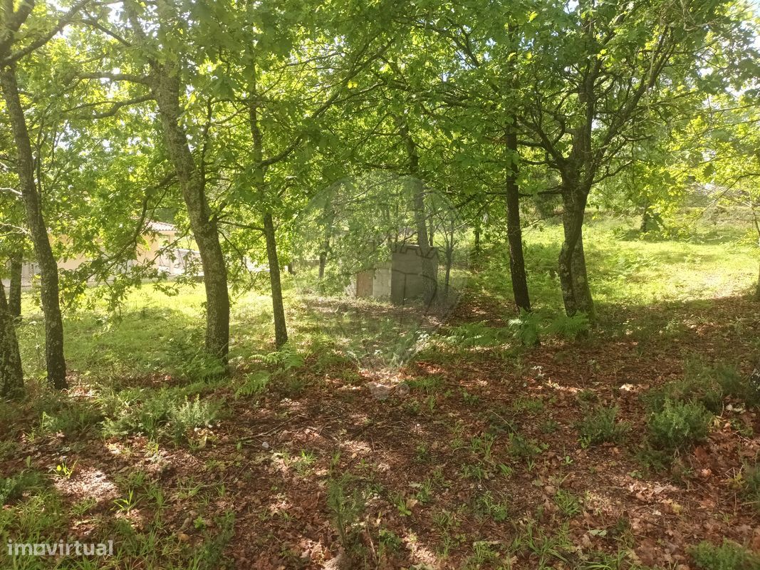 Terreno  para venda