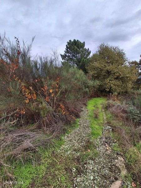 Terreno em Atalaia, Pindo, Penalva do Castelo - Grande imagem: 5/6