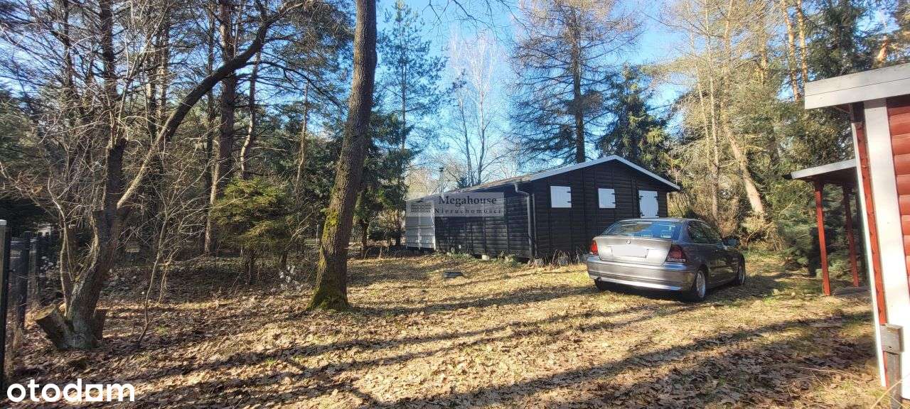 Wspaniała lokalizacja, Sosnówka Kolonia-3