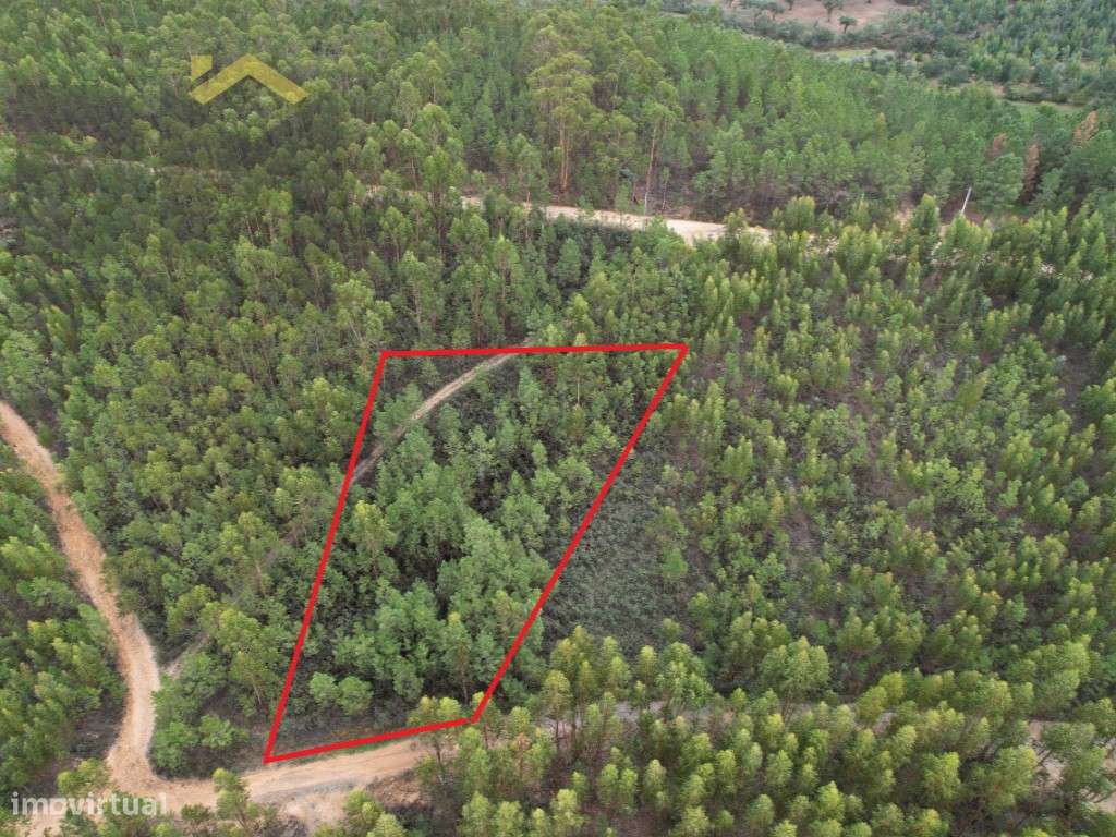 Terreno rústico de 1160m2 - Grande imagem: 2/4