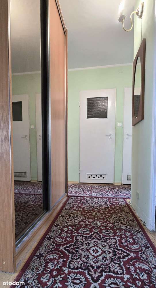 Słoneczne mieszkanie z potencjałem !-8