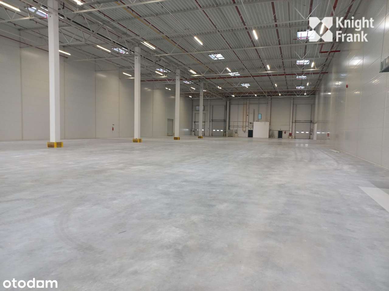 Magazyn z gotowym biurem - moduły 3000m2 -5000m2-7131m2 / Bydgoszcz
