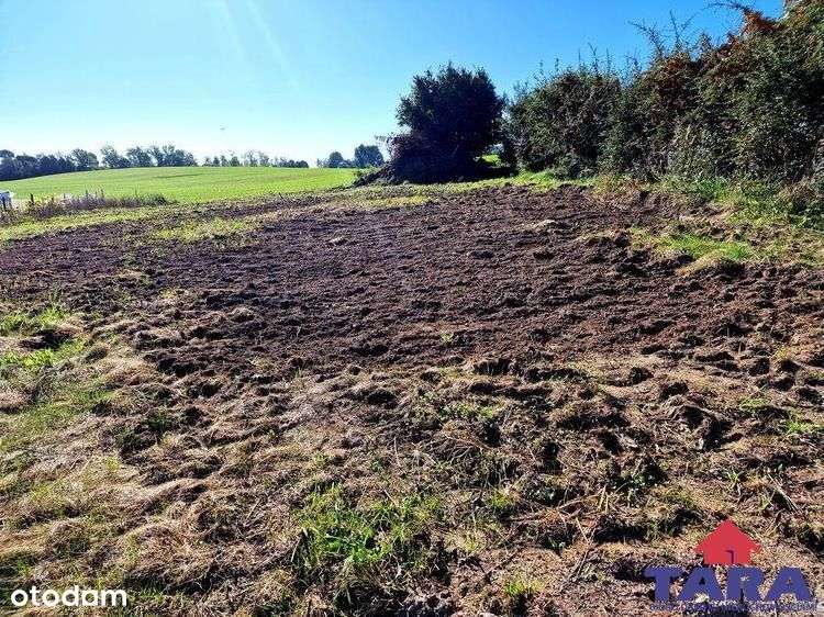 Działka blisko dwóch jezior! - Pełny obrazek: 5/13