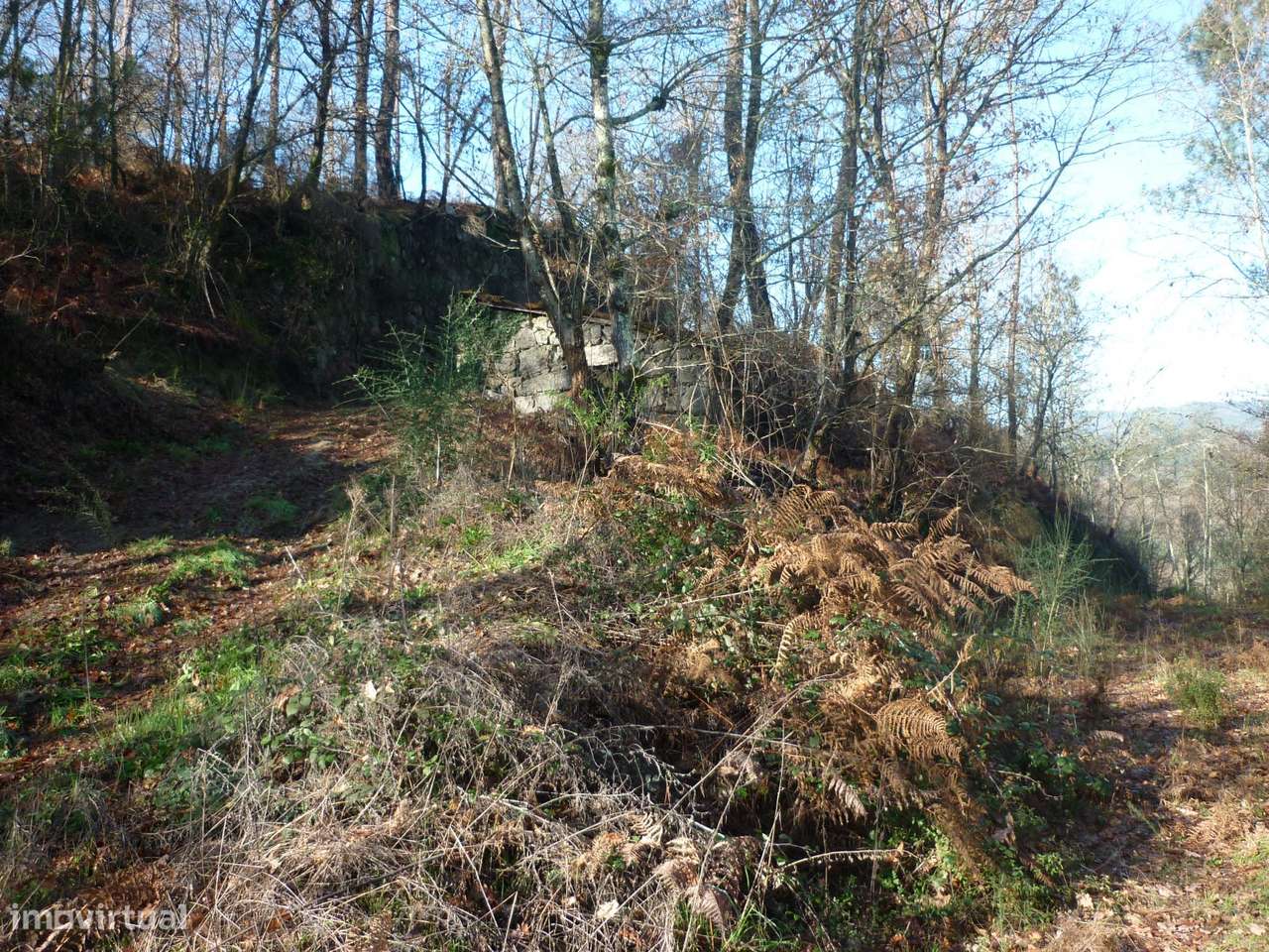 Terreno Junto a Nascente do Rio Ave!!!-12