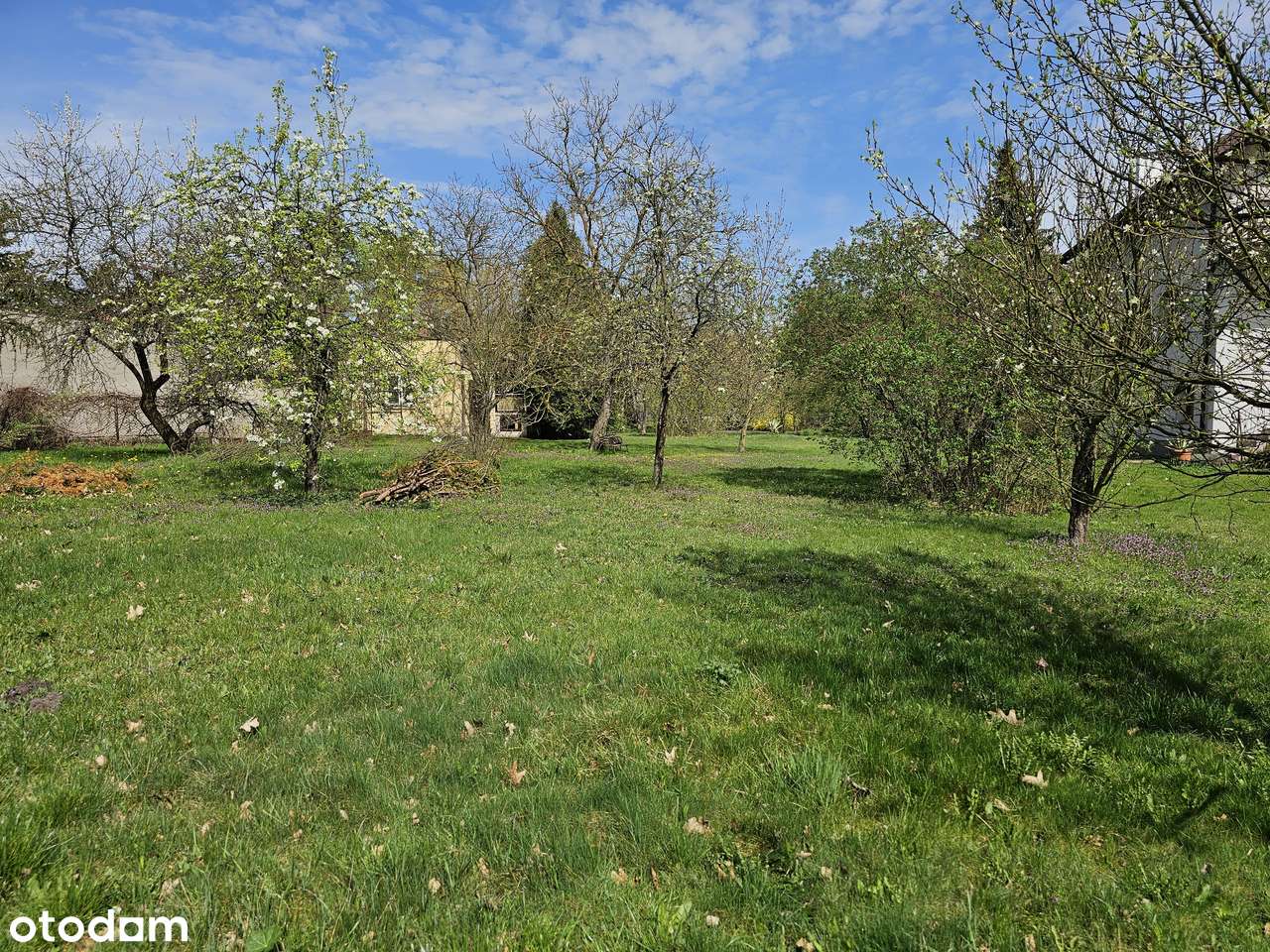 Zielona działka budowlana 2.250 metrów2 - Pełny obrazek: 4/6