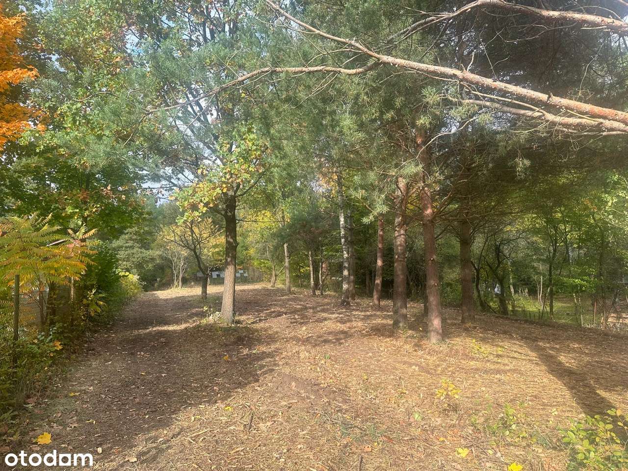 Dz. letniskowa blisko rzeki Świder 30 min z Warszawy S8 opcja podziału-1