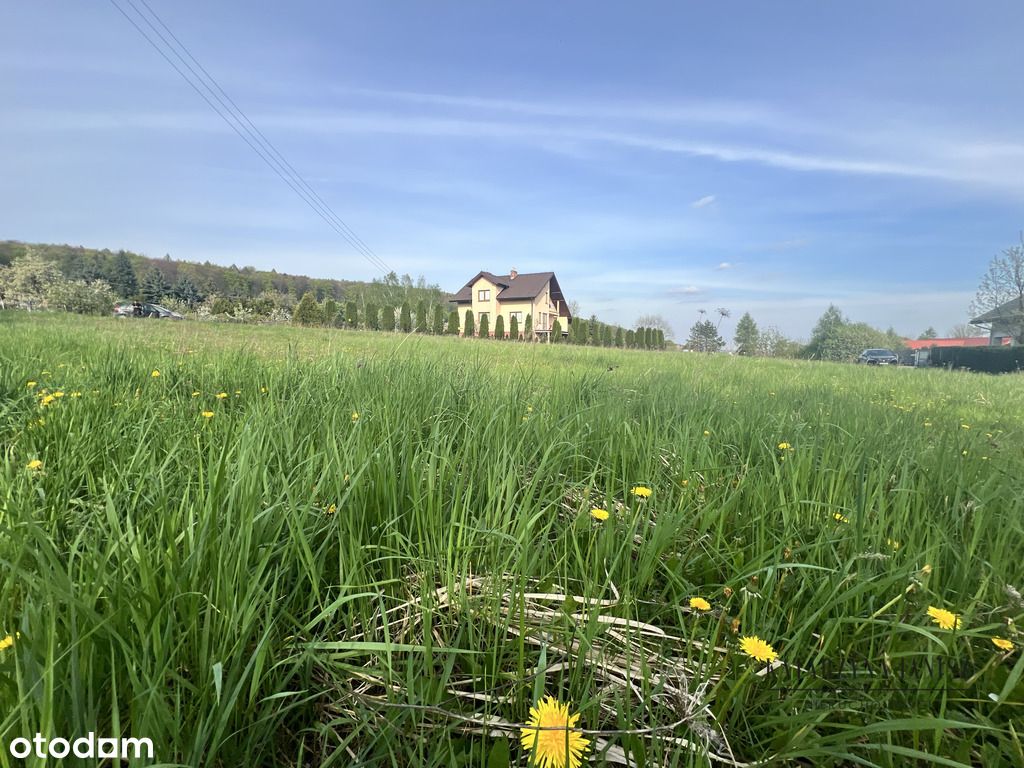 Działka 20 arów na wzgórzu Siedlec, gm.Krzeszowice