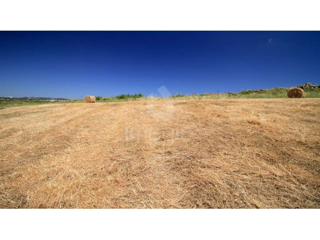 Terreno rústico em São João das Lampas - Grande imagem: 4/4