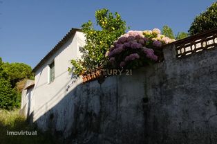 No Centro de Alcobaça  Prédio com Terreno e Projeto Aprovado - Grande imagem: 4/24