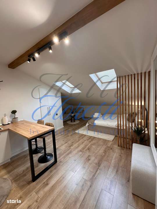 Garsoniera de inchiriat 1 camera in Cluj-Napoca zona Semicentrala - Imagine principală: 5/11