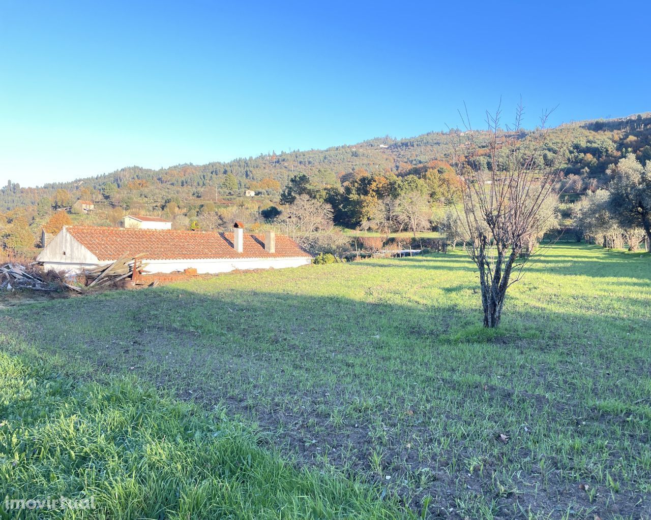 Quinta com 1,5 hectares em Avô (Oliveira do Hospital)