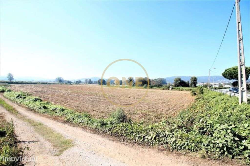 Terreno Agrícola no Louro - Grande imagem: 2/7