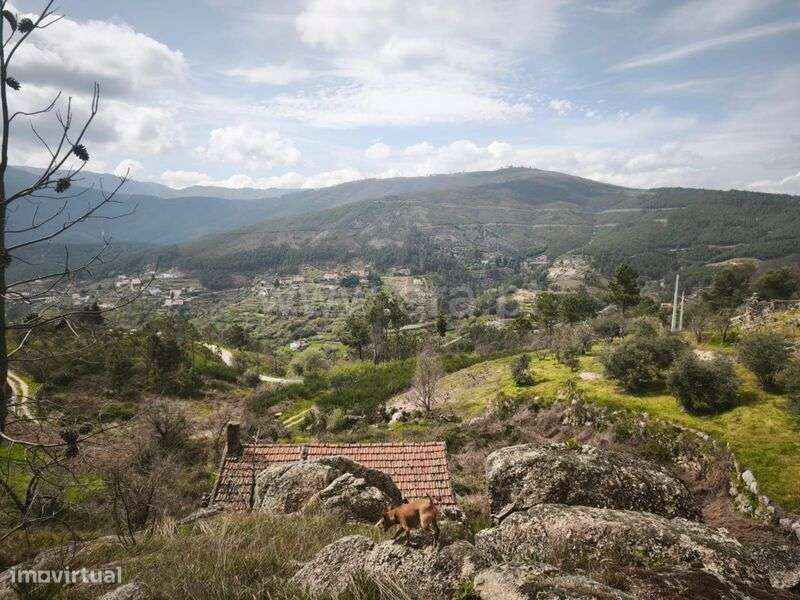 Quintinha T1 / Covilhã, Teixoso e Sarzedo - Grande imagem: 1/14