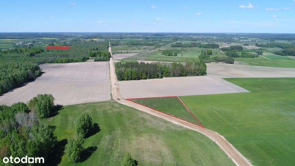 Urokliwa działka w spokojnej okolicy - Pełny obrazek: 5/6