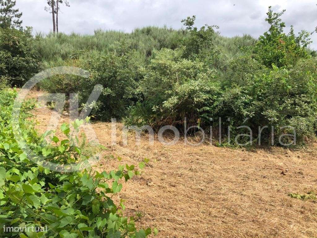 Terreno na Légua-3