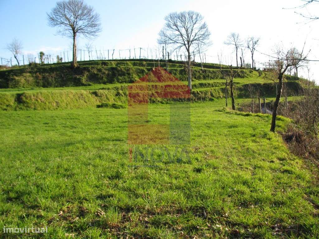 Terreno agrícola, Aboim da Nóbrega - Grande imagem: 3/17