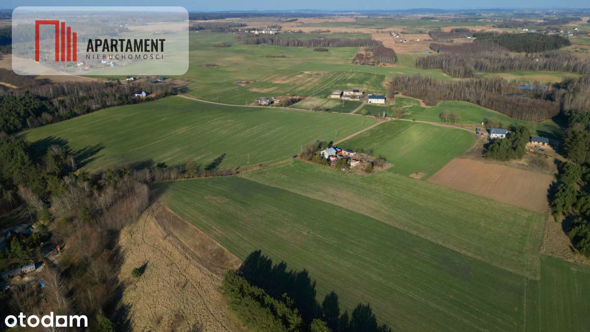 Siedlisko z Wz, blisko trójmiasta - Pełny obrazek: 3/11