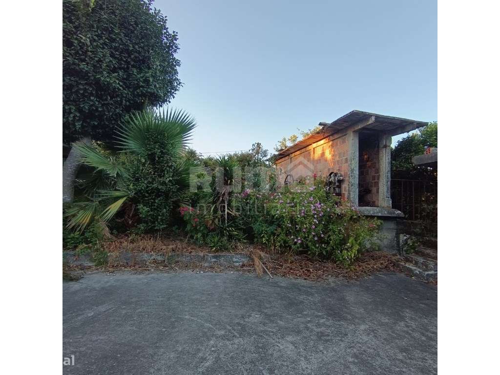 Quintinha com 2 artigos - Grande imagem: 2/38