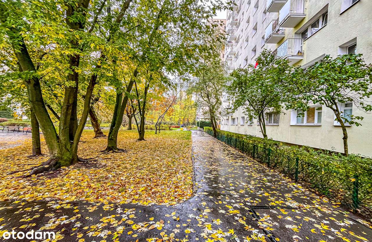 Bielany ul. Reymonta 10, 3 osobne pokoje-18