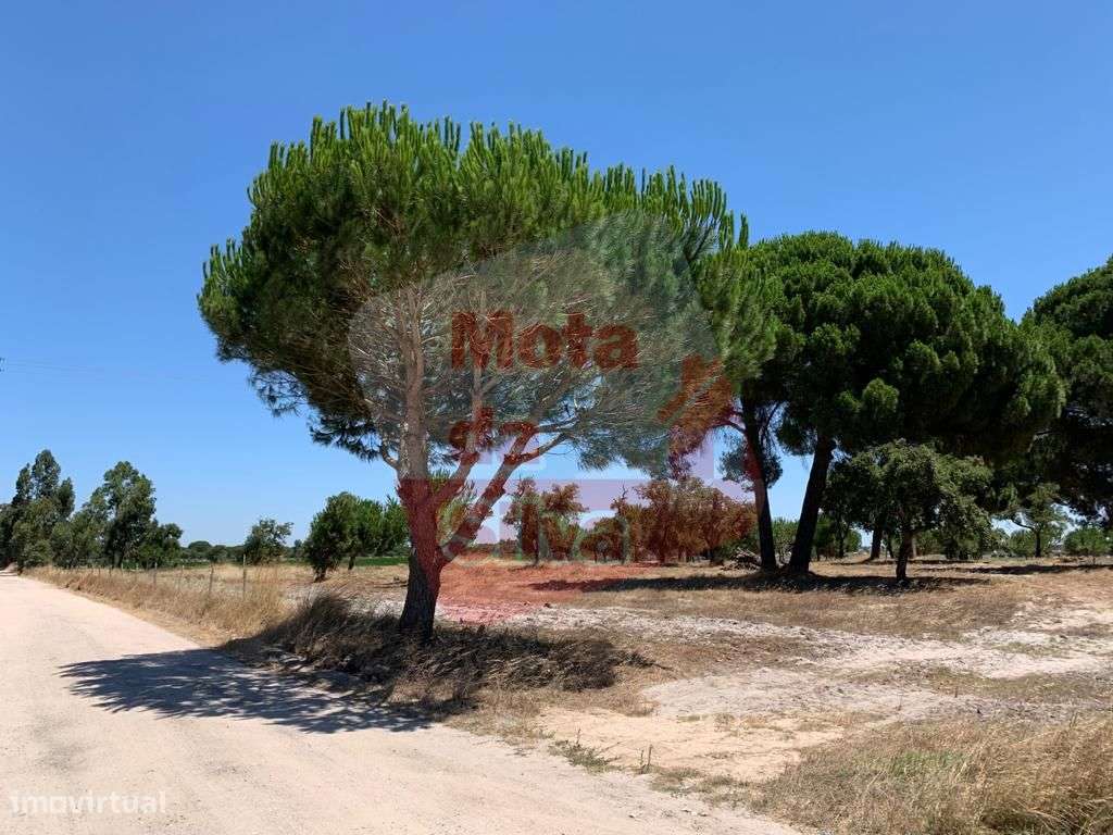 Excelente Terreno para construção e agrícola 10 hectares - Grande imagem: 2/18