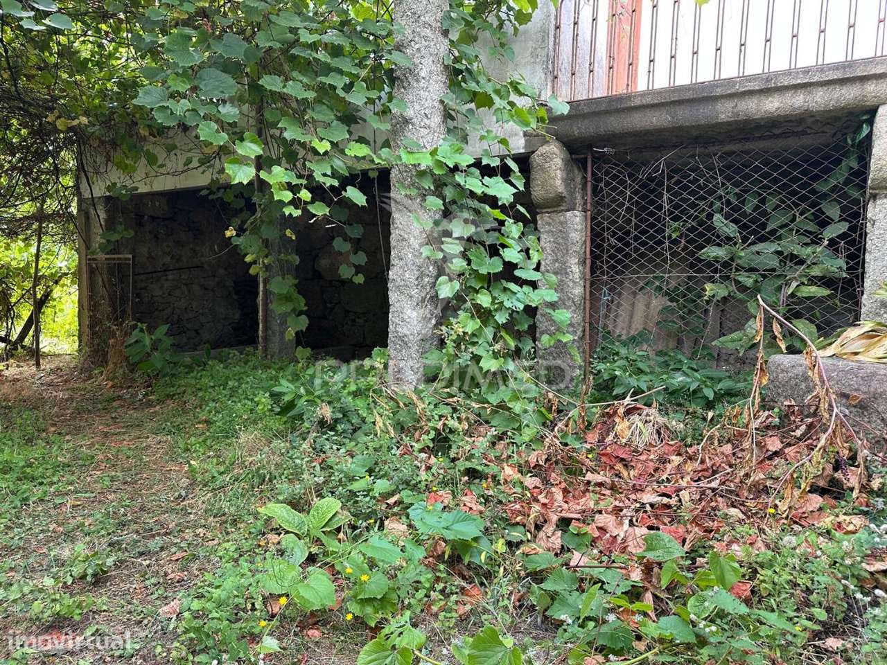 Quinta Rural em Ponte de Lima – Moradia T6 com 15.000 m² de Terreno - Grande imagem: 3/11