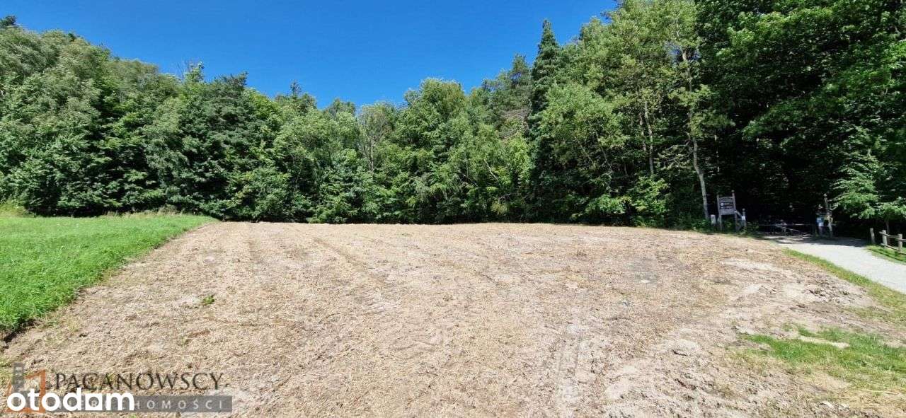 Działka, 2 100 m², Czajowice-4