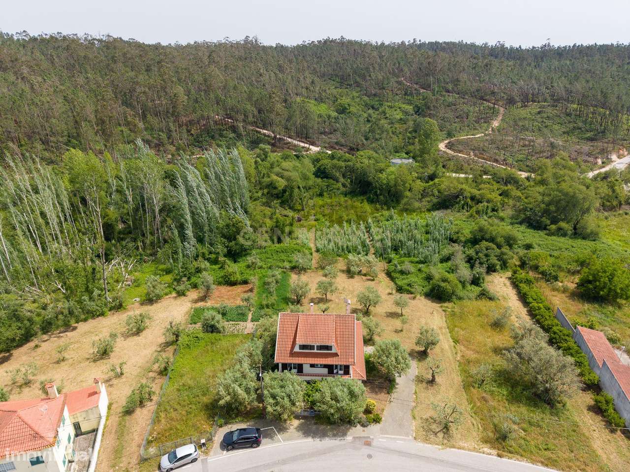 Encantadora moradia T-4 em Pipa, Vila Cã, Pombal - Oportunidade Única-42