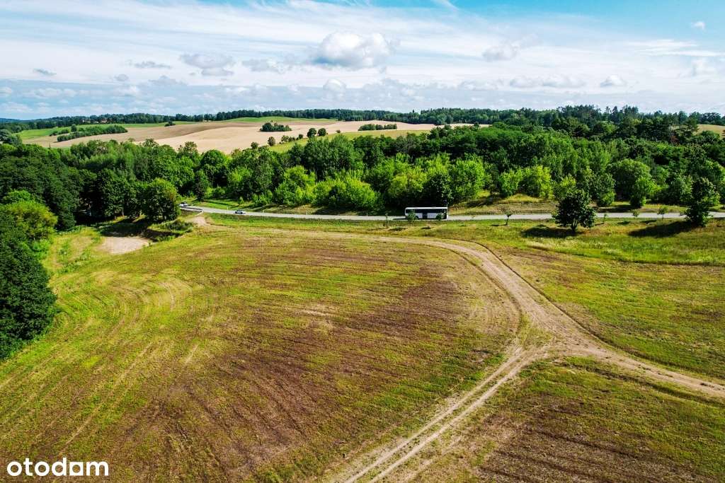 Działki z linią brzegową oraz z dostępem do jeziora Wierzbowskiego-13