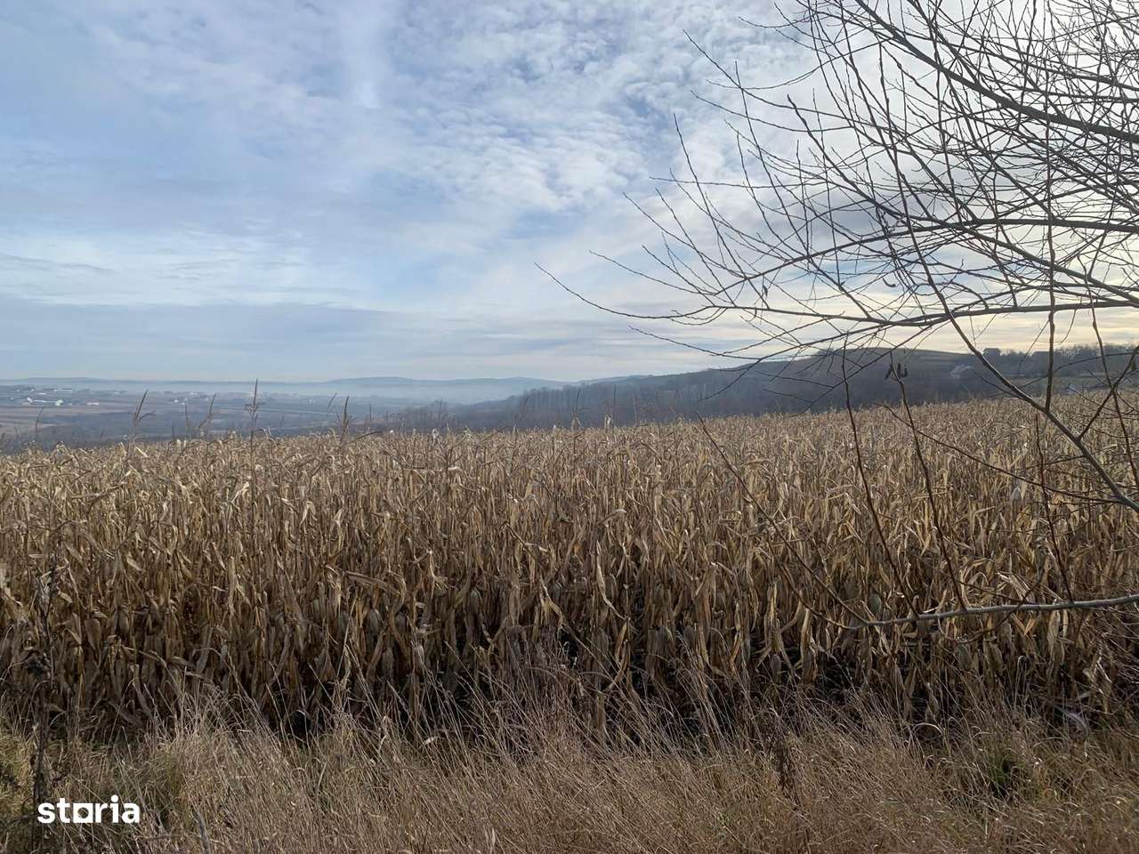 Teren intravilan de vânzare | Cajvana | 7.800 mp-6