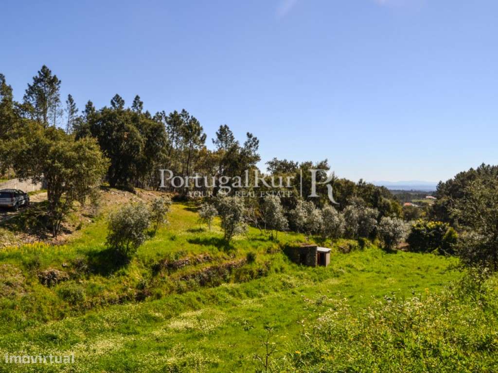 Terreno em Proença-a-Nova - Grande imagem: 5/18