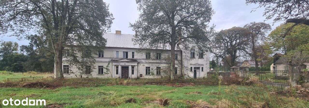 Magazyny i Budynki Plac BAZA TIR Spedycja 25 600 m²  Świecko A2  DK92 - Pełny obrazek: 4/18