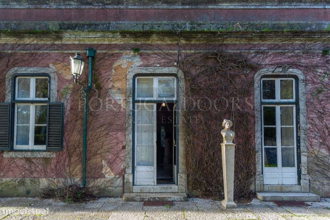 Quinta 5Ha em Azeitão-22