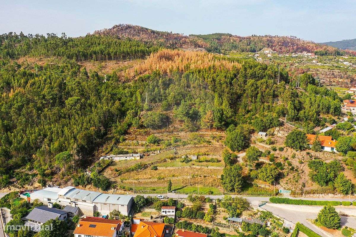 Terreno  para venda - Grande imagem: 5/11