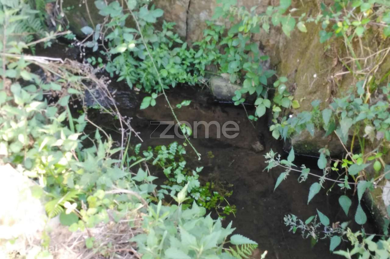 Terreno 20.0000m2 em Serrado - Maceirinha - Sta Eulália - Grande imagem: 5/16