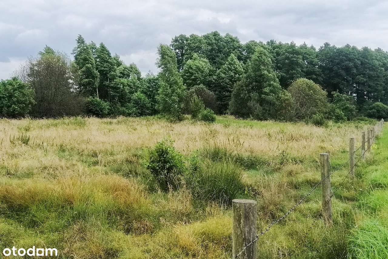 Urokliwe działki w otoczeniu pól, łąk i lasów (Media w drodze gminnej) - Pełny obrazek: 4/12