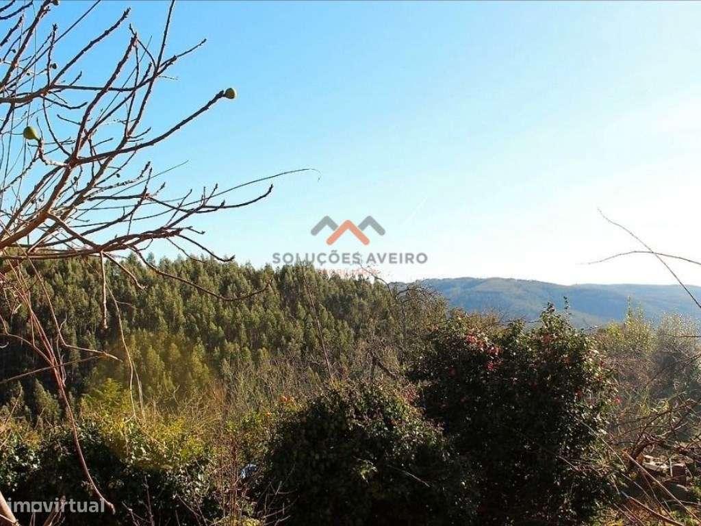 Moradia T1 para Recuperação | Refúgio na Serra-7