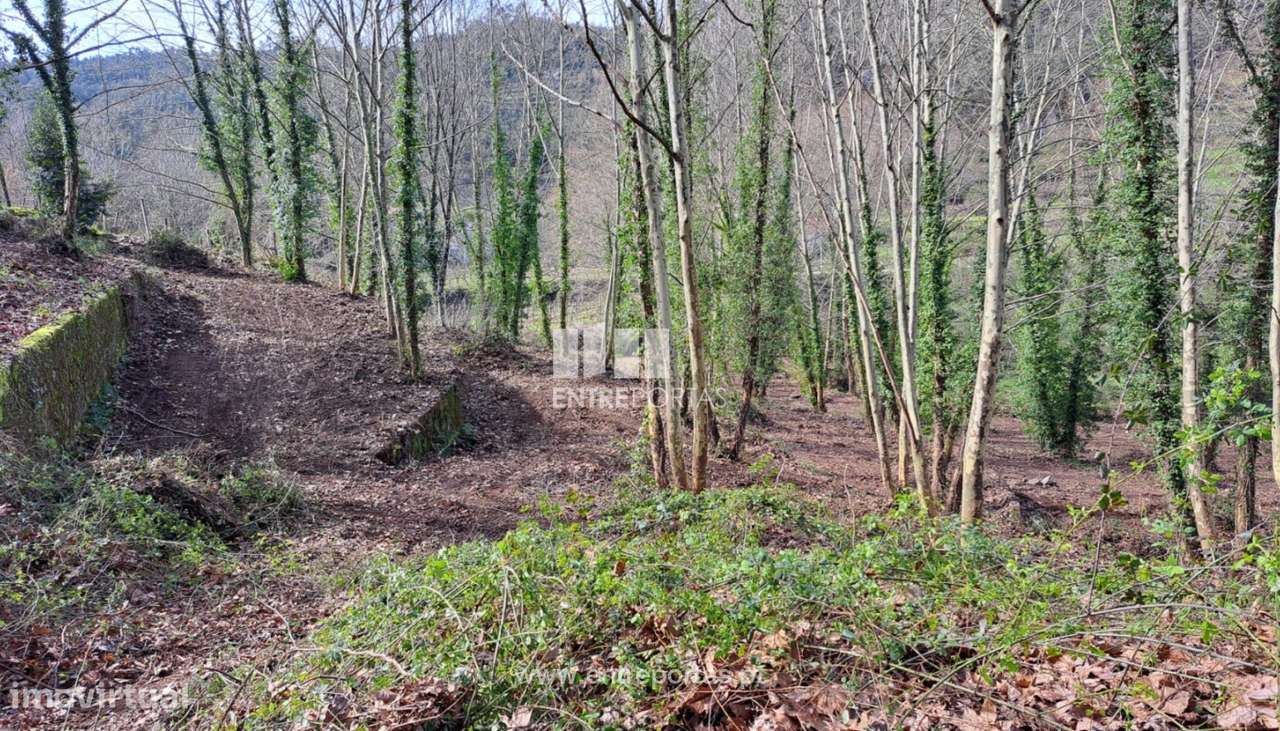 Venda Terreno, Vila Boa de Quires, Marco de Canaveses - Grande imagem: 4/17