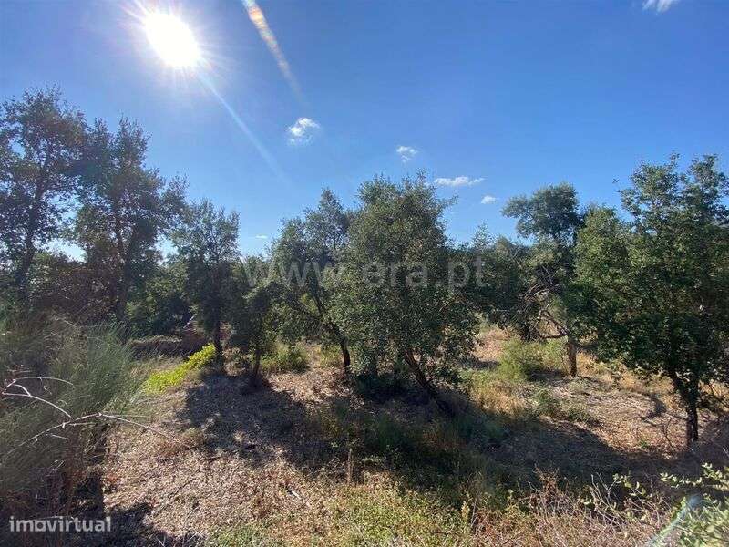 Quinta T1 / Fundão, Vale Prazeres - Grande imagem: 3/9