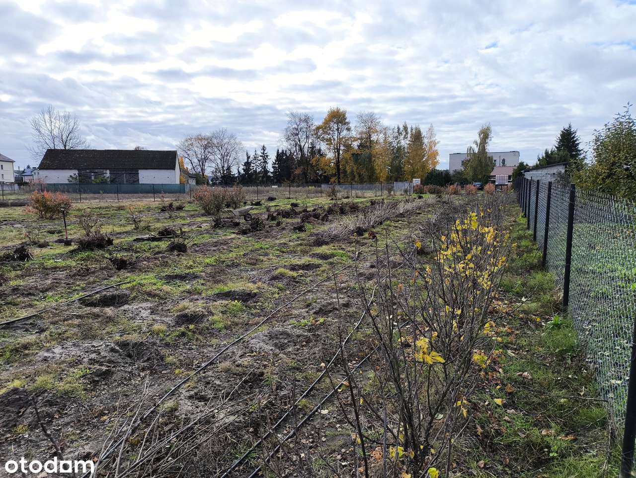 Sprzedam działkę budowlaną w Grubalach 8 km  od Siedlec ( REZERWACJA ) - Pełny obrazek: 3/10