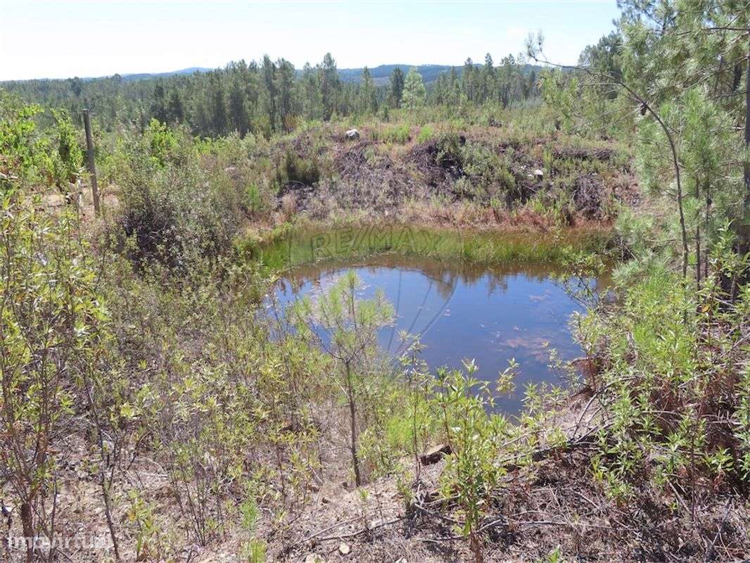 Quinta  para venda - Grande imagem: 2/27