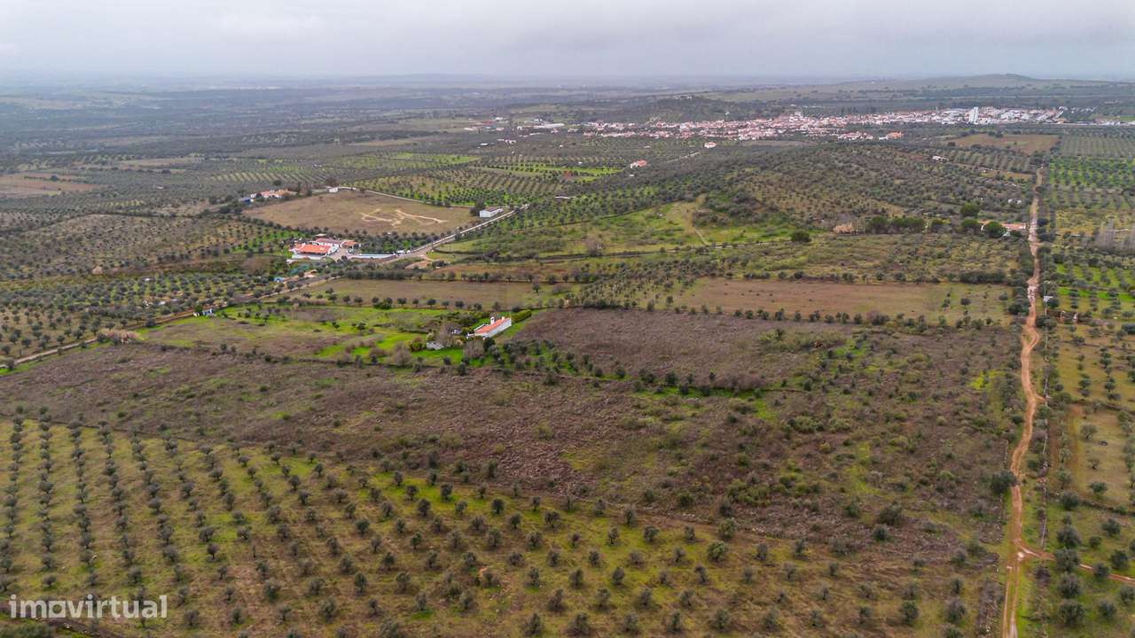 Herdade T3 em Vila Boim-6