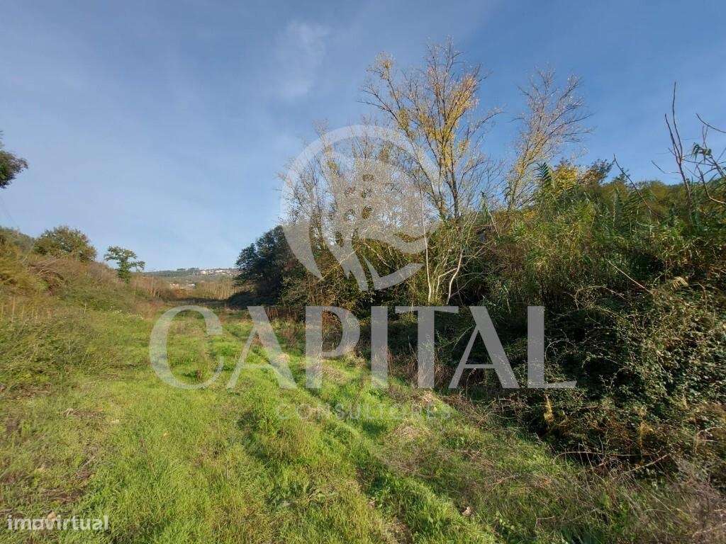 Terreno com Ruína Pisão / Côja - Grande imagem: 4/9