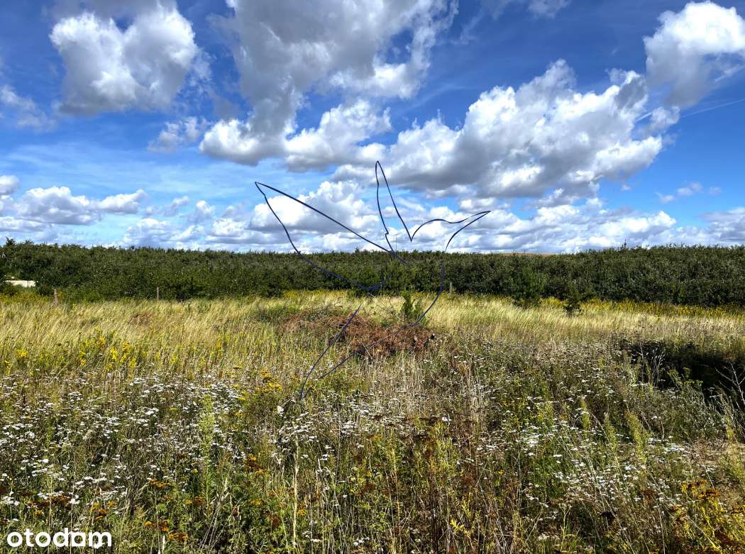 Działka budowlana w Śliwinach – 10 minut od Tczewa - Pełny obrazek: 5/10