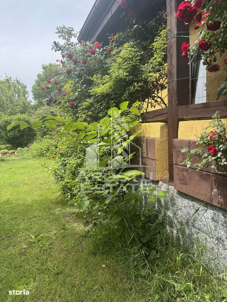 Casă unifamilială în Ghiroda cu teren generos 1752 mp - Imagine principală: 3/20