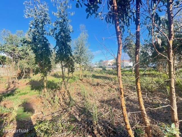 Terreno com 733m2, localizado próximo do Centro de Canelas!-7