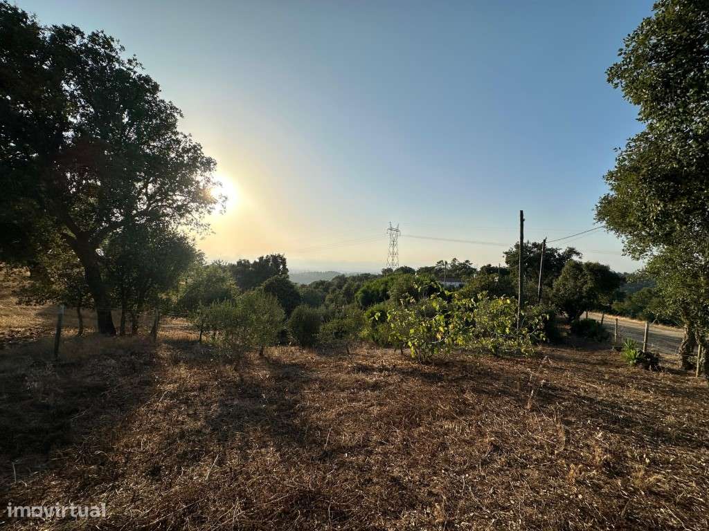 Monte Alentejano com 3,4 ha de natureza e potencial turístico-30