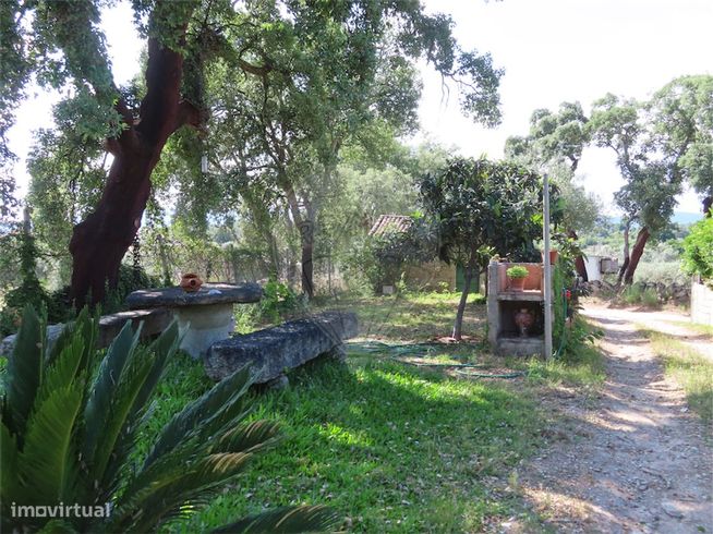 Quinta  para venda-7