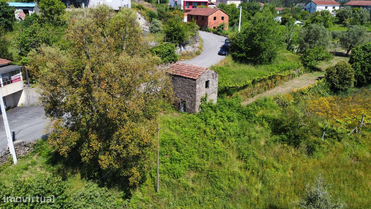 Terreno p/ construção – Oliveira de Frades - Grande imagem: 5/21