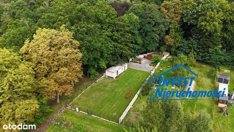 Działka rekreacyjna - Strzekęcino Strzekęcino-2